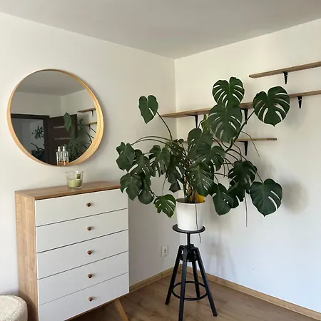 Apartamento Arthaven Szwederowo *