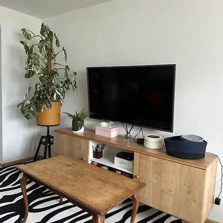 Arthaven Szwederowo * Bydgoszcz