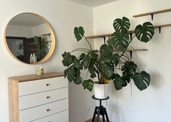 Apartment Szwederowo *